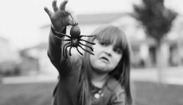 How to Help a Child Overcome a Fear of Spiders