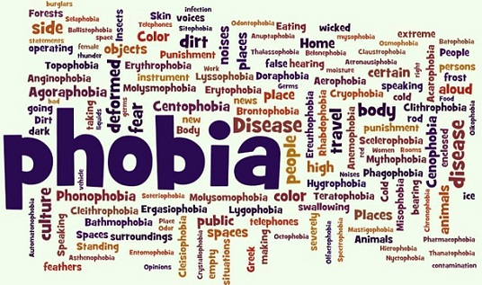 Neophobia – Fear of Food